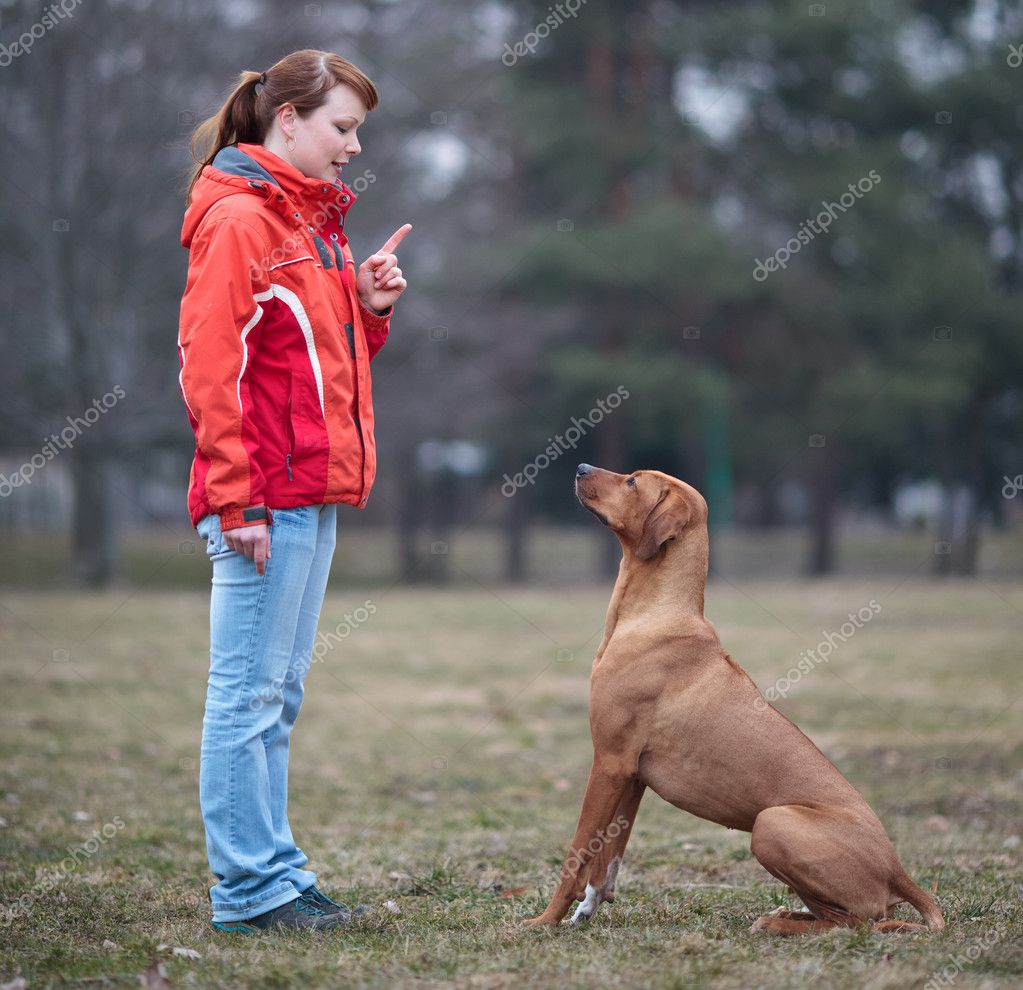 depositphotos_7416616-stock-photo-master-and-her-obedient-rhodesian